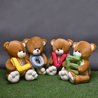 valentines teddy for him