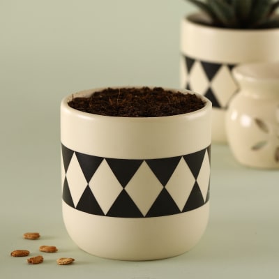 Black Diamonds Ceramic Planter - Without Plant