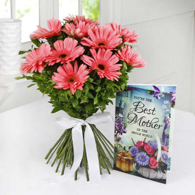 Bunch Of 10 Gerberas With Card Same Day Delivery