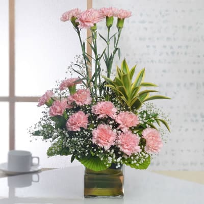 Buy Pink Carnations Flowers Online - Order Pink Carnations Flower