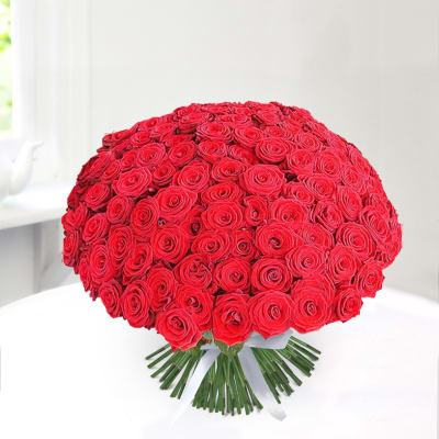 Buy/Send Bunch of 500 Red Roses Online | IGP | HD1079595