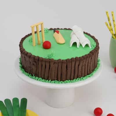 Cricket themed cakes for boys