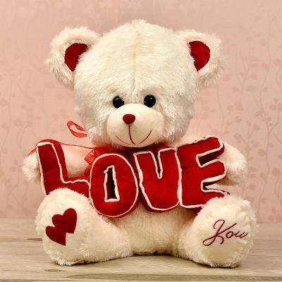 cute teddy bear for boyfriend