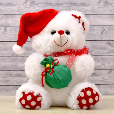 Buy/Send Cute Santa Teddy Online | IGP | L11076729