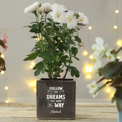 Makar Sankranti Gifts Buy Send Makar Sankranti Gifts Online From