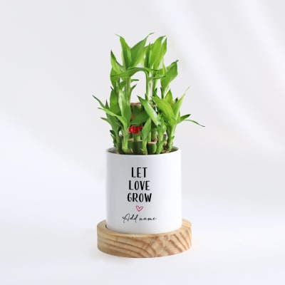 Let Love Grow - 2-Layer Bamboo Plant With Pot - Personalized