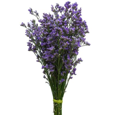 Buy/Send Limonium Maine Blue Bunch of 10 Online | IGP | WF1096016