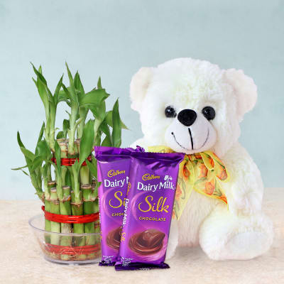 dairy milk with teddy bear