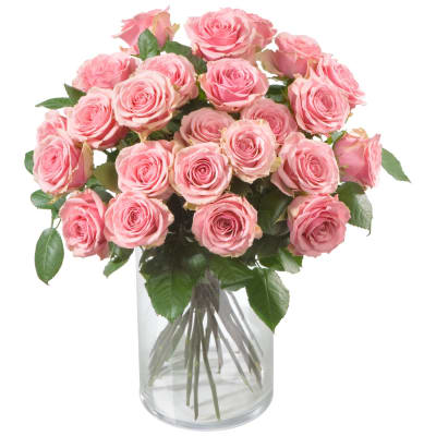 Buy/Send Pink Roses Online | IGP | ID1092671