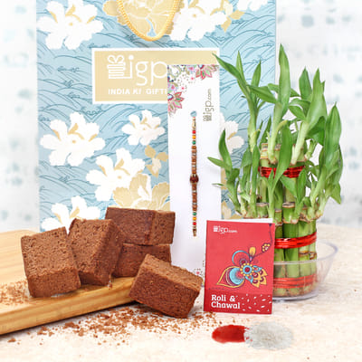 Rakhi with Lucky Bamboo Hamper