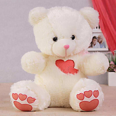 teddy for girlfriend