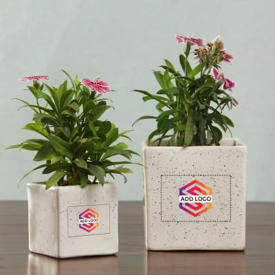 Set of 2 Ceramic Planters - Customized with Logo