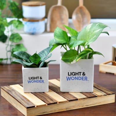 Set of 2 Ceramic Planters With Logo