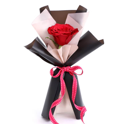 Buy/Send Single Rose Bouquet Online | IGP | JVS1203647