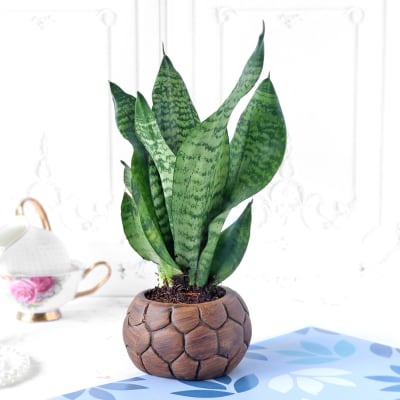 gift for female friend on her marriage