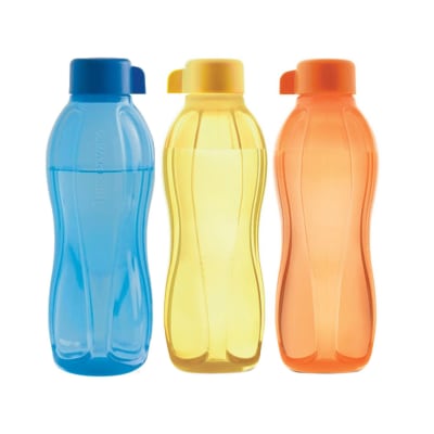 Buy/Send TUPPERWARE WATER BOTTLES 500ML SET OF 3 Online | IGP | JVS1181248