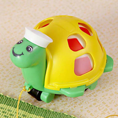 turtle plastic toy