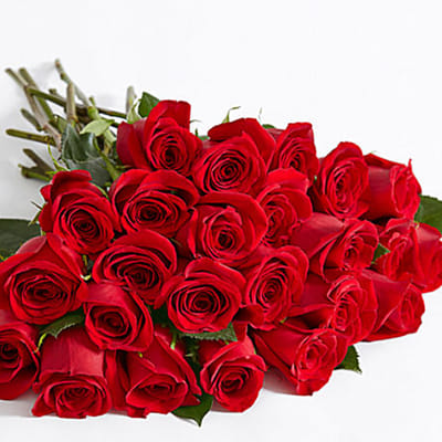 Order Two Dozen Red Roses Online at Best Price, Free Delivery|IGP Flowers