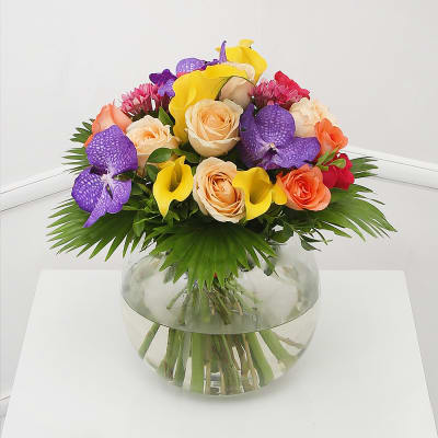 Order Vanda Orchid & Calla Lily Vase Online at Best Price, Free ...