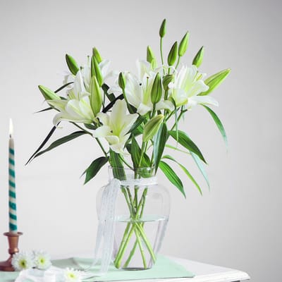 Buy/Send Vanilla Lily Dream Online | IGP | ID1421668