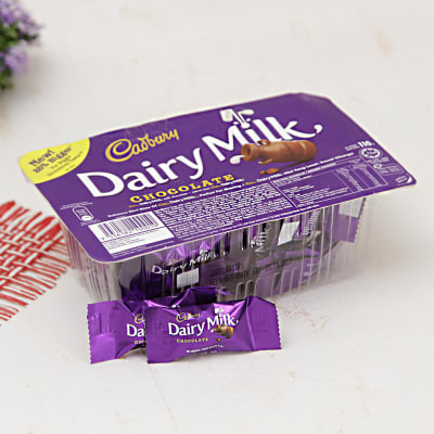 teddy with dairy milk