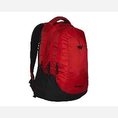 Buy/Send WILDCRAFT PEZA LAPTOP BACKPACK_3 Online | IGP | JVS1197902