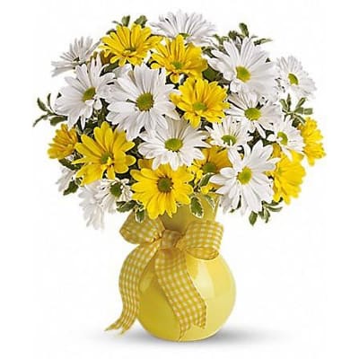 Yellow & White Daisy Bouquet | IGP