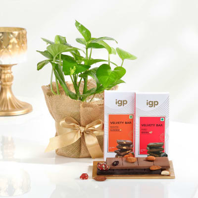 Zen Harmony Gift Set