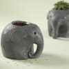 Adorable Elephant Resin Planter - Without Plant Online