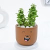 Gift Adorable Teddy Terracotta Planter And Jade Plant