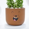 Buy Adorable Teddy Terracotta Planter And Jade Plant