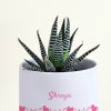 Shop Attractive Haworthia with Personalized Vase