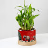 Buy Balance Of Life- Money Plant And Bamboo Plant Combo