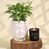 Gift Beautiful Syngonium Plant in a Ceramic Buddha Planter