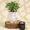 Beautiful Syngonium Plant in a Ceramic Buddha Planter Online