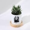 Buy Beloved Memories - Haworthia Succulent With Pot - Personalized