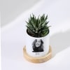Shop Beloved Memories - Haworthia Succulent With Pot - Personalized