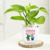 Buy Birthday Special Money Plant With Red Velvet Jar Cake