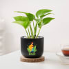 Gift Blooming Money Plant In Black Planter For Dad