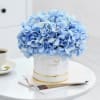 Buy Blue Beauty Flower Box