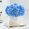Shop Blue Beauty Flower Box