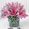 Bouquet of Pink Lilies in Square Vase (6 Stems) Online