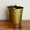 Gift Bucket Planter