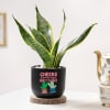 Gift Cheers For Growth - Snake Plant In Black Planter