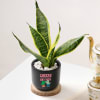 Buy Cheers For Growth - Snake Plant In Black Planter