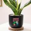 Shop Cheers For Growth - Snake Plant In Black Planter