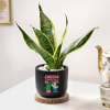 Cheers For Growth - Snake Plant In Black Planter Online