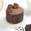 Buy Choco Chip Truffle Cake