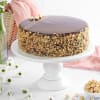 Chocolate Hazelnut Crunch Cake Online