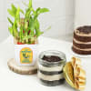 Delectable Chocolate Jar Cake With Two-Layered Bamboo Plant Online